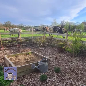 Jardin aromatique roulotte et vaches