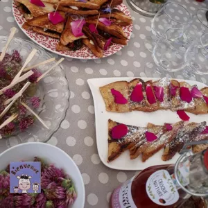 table cueillette et cuisine sauvage
