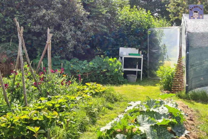 Les jardins potager
