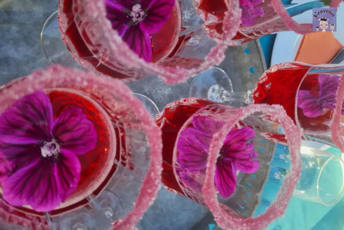 Boisson aux fleurs du jardin !