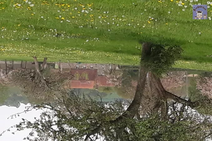 La ferme et gîte vue du verger